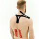 Southern Nevada Chiropractic Opens 8th Clinic